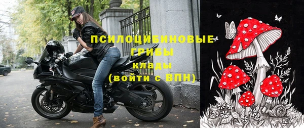 гашик Баксан