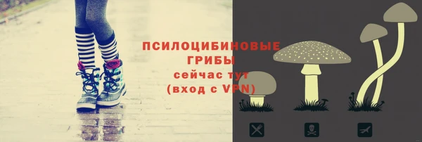 гашик Баксан