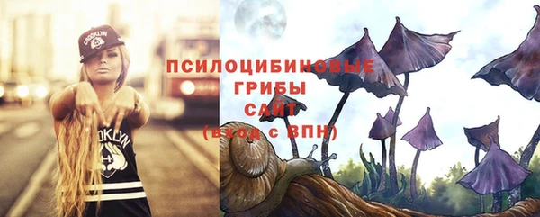 дмт Балабаново